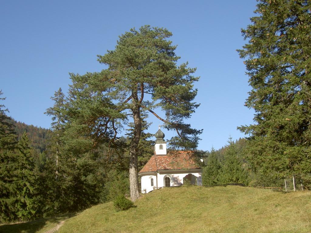 Appartementhaus Alpenrose Wallgau Ngoại thất bức ảnh